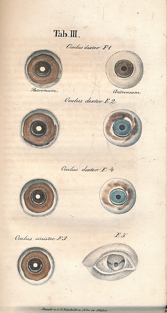 Zeitschrift für die Ophthalmologie in Verein mit Vielen Aerzten. Volume 1