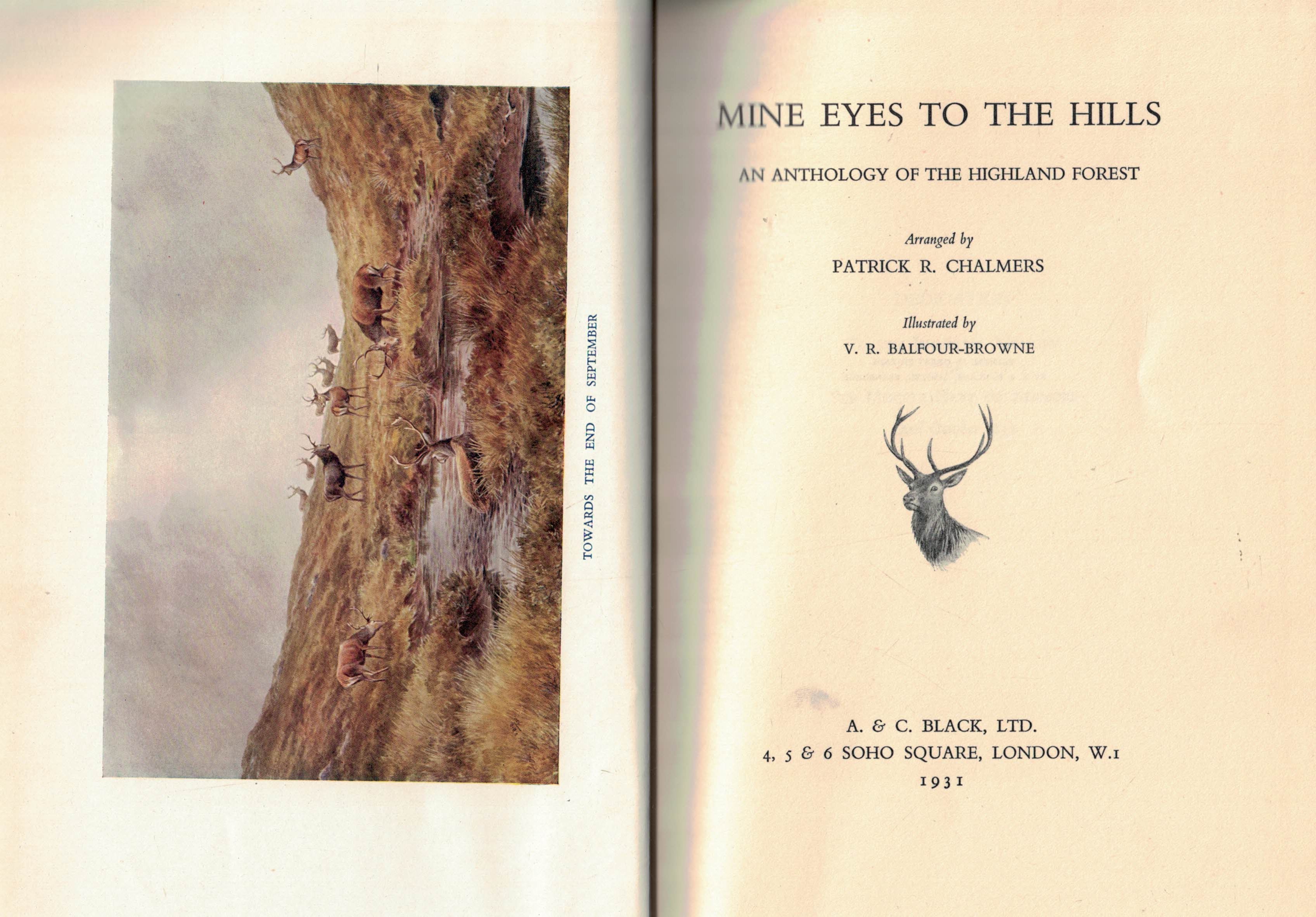 Mine Eyes to the Hills. An Anthology of the Highland Forest.