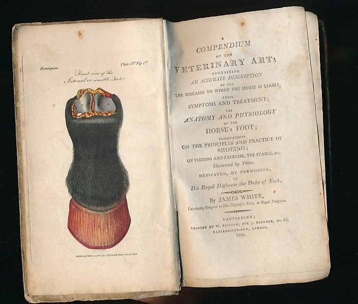 A Compendium of the Veterinary Art: Containing an Accurate Description of all the Diseases to which the Horse is Liable, Their Symptoms and Treatment; the Anatomy and Physiology of the Horse's Foot