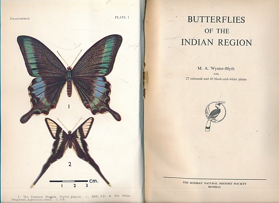 Butterflies of the Indian Region