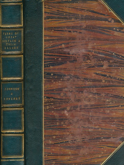 The Ferns of Great Britain [bound with] The Fern-Allies. 2 volumes in one.