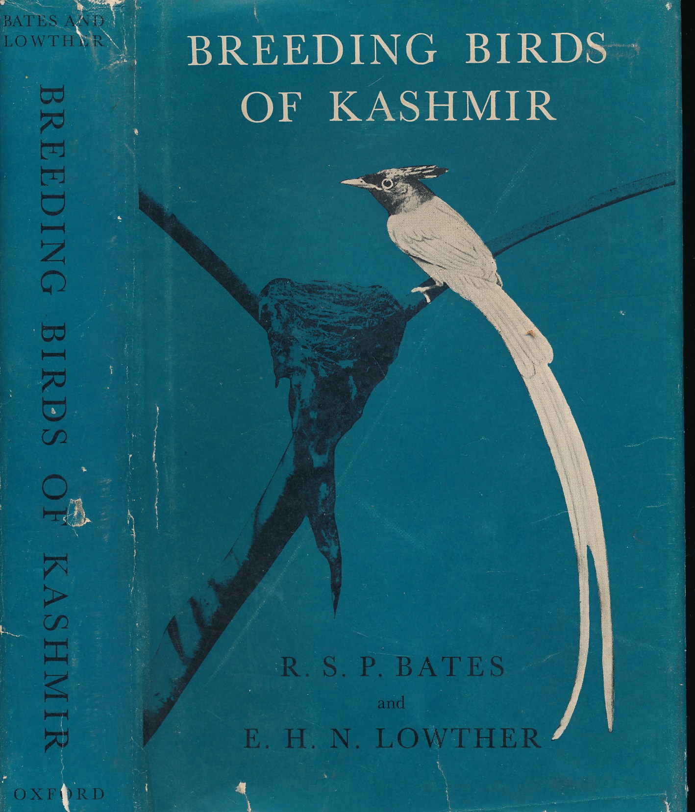 Breeding Birds of Kashmir