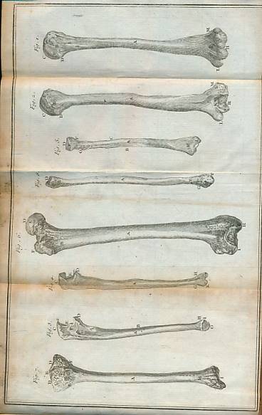 Trait d'Osteologie. 4 volume set.