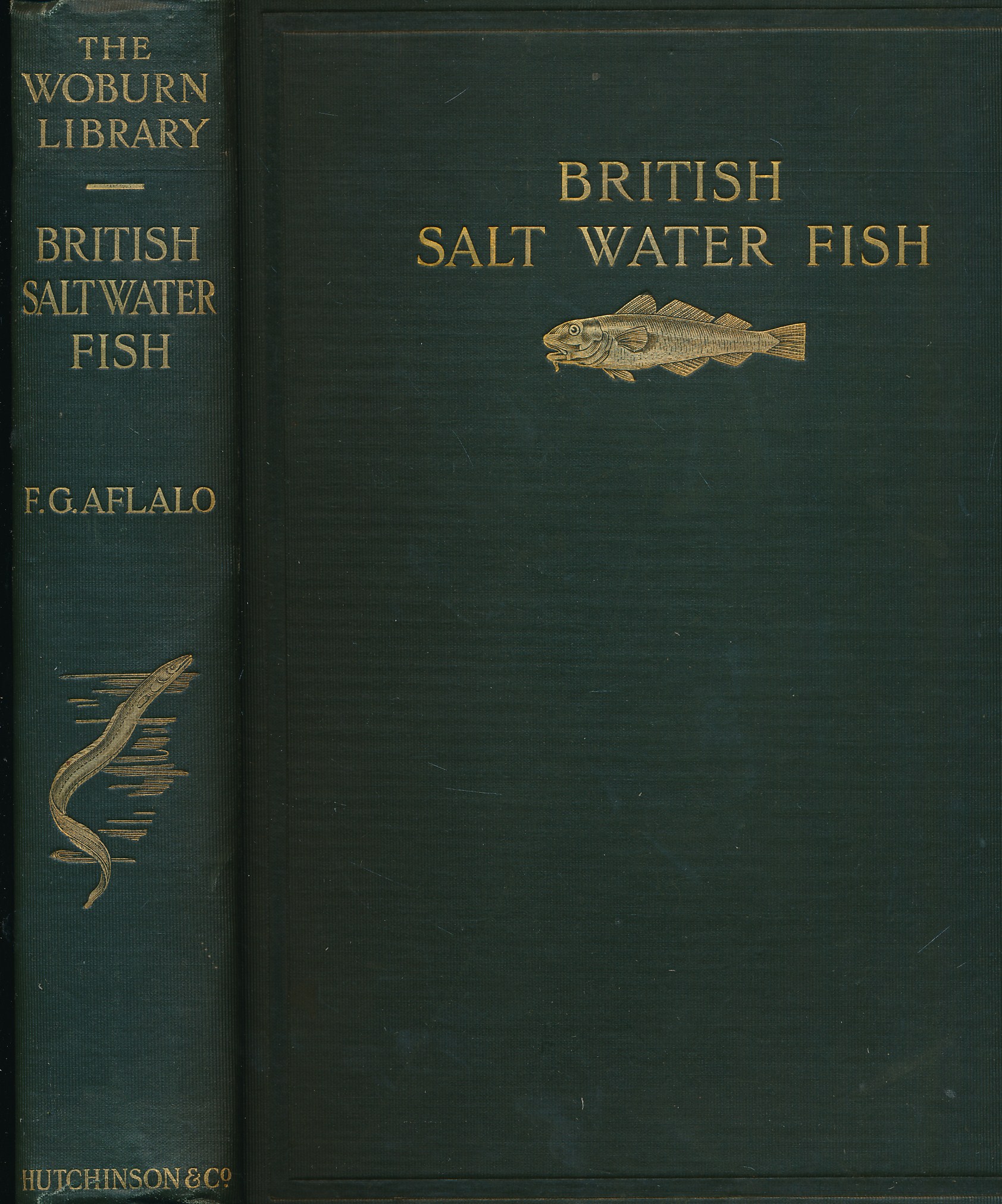 British Salt-Water Fishes