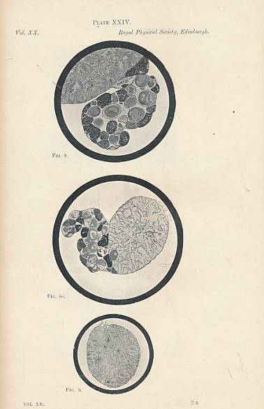 Proceedings of the Royal Physical Society of Edinburgh. Volume XX. 1915-1923.
