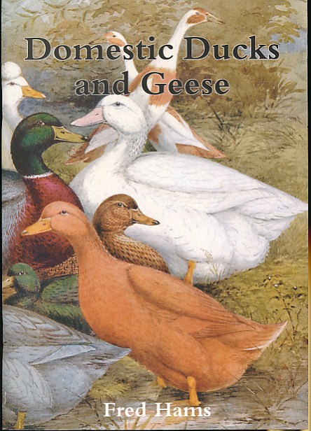 Domestic Ducks and Geese. Shire Album Series No. 378.
