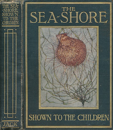 The Sea-shore Shown to the Children