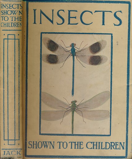 British Insects Shown to the Children
