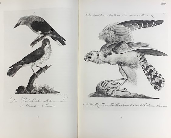 Fine Bird Books. 1700-1900. Limited edition.