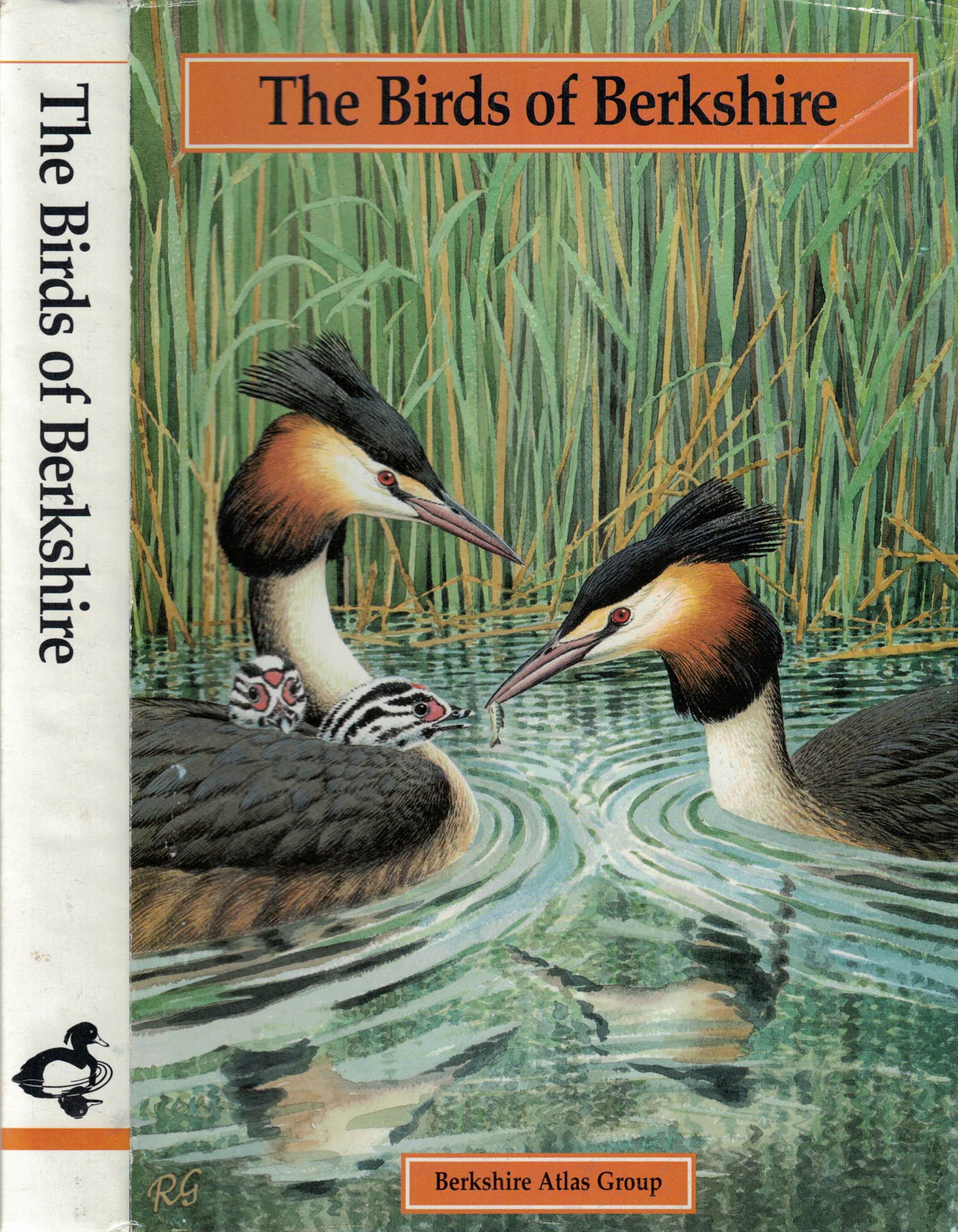 STANDLEY, PETER; BUCKNELL, N J; SWASH, ANDY; COLLINS, IAN D - The Birds of Berkshire