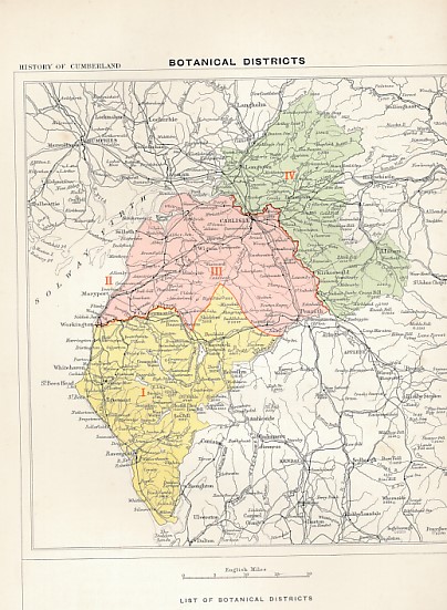 Cumberland. The Victoria History of the Counties of England. Volume One [of 4].