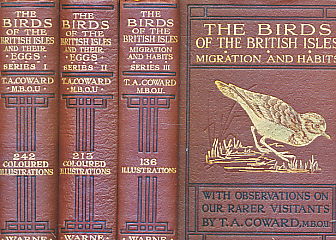 The Birds of the British Isles and their Eggs. The Wayside and Woodland Series. 3 volume set. 1920.