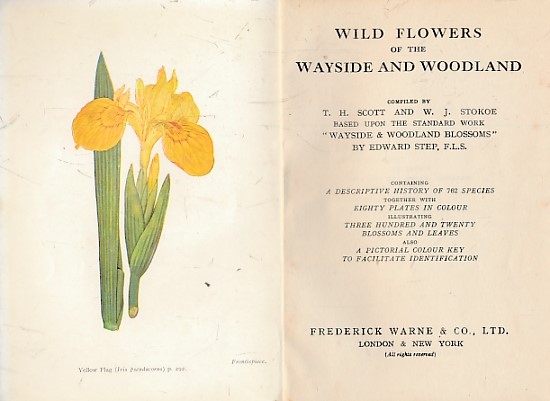 Wild Flowers of the Wayside and Woodland