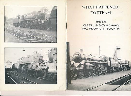 The BR Class 4 4-6-0s & 2-6-0s. Nos. 75000-79 & 76000-114. What Happened to Steam, Volume Seventeen.