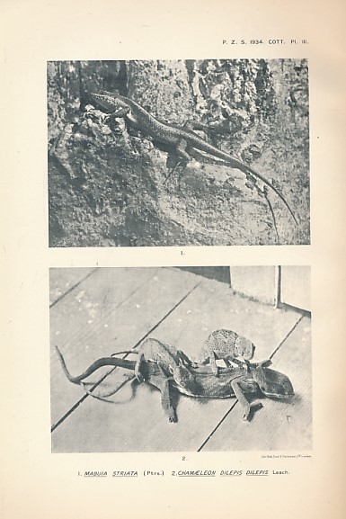 Proceedings of the General Meetings for Scientific Business of the Zoological Society of London. Part I. April 1934.